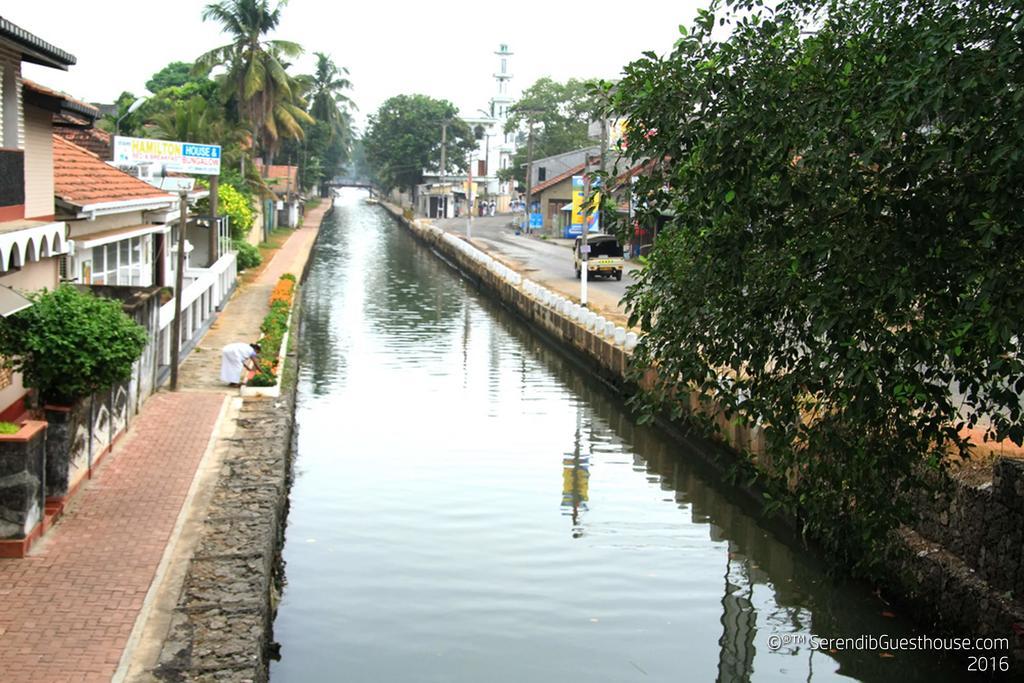 Serendib Guest House Negombo Exterior foto