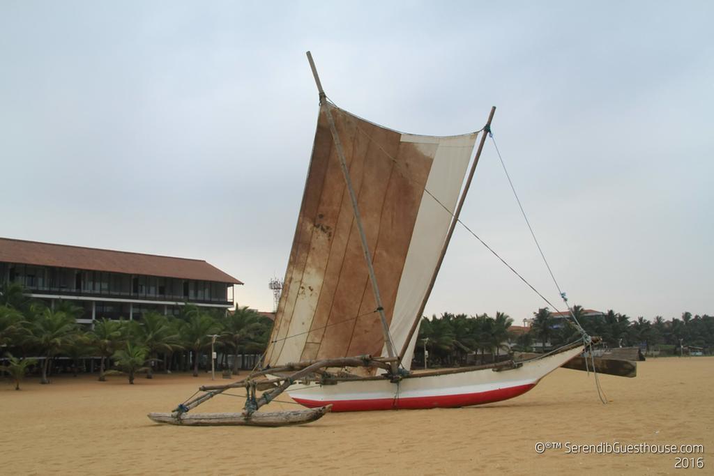 Serendib Guest House Negombo Exterior foto