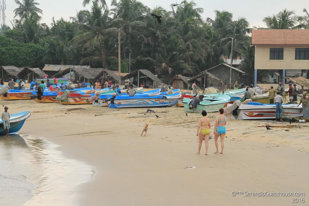 Serendib Guest House Negombo Exterior foto
